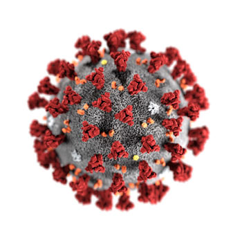 COVID-19, Corona Wirus, Kwestionariusz szczepienia z oświadczeniem